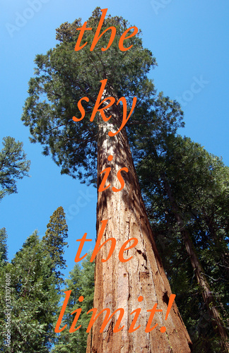 The sky is the limit