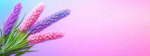 Pastel Pink and Purple Lavender Flowers on Gradient Background