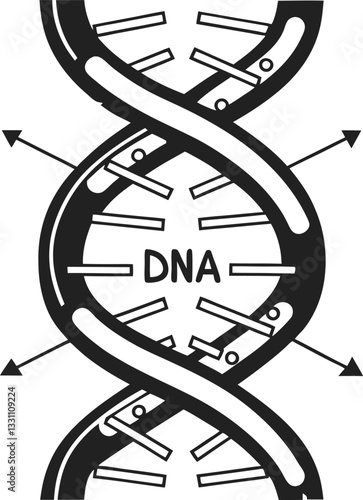 Dna helix structure with labeled base pairs and arrows indicating genetic information flow molecular biology concept illustration