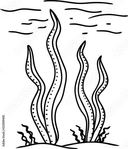black and white seaweed illustration underwater plant line art, marine life concept