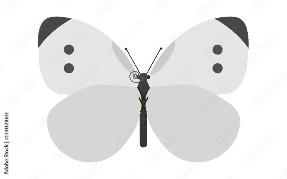 Obraz premium モンシロチョウのイラスト