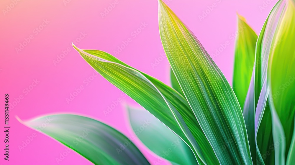 Obraz premium Vibrant Green Leaves Against Soft Pink Background for Relaxation