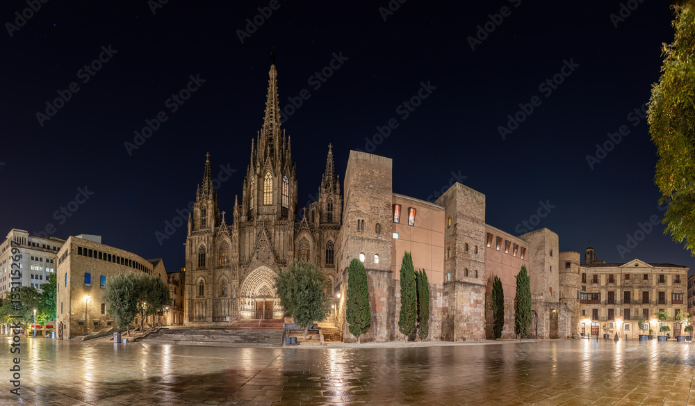 Panorama of he Barcelona Cathedral with no people at night Panorama of he Barcelona Cathedral with no people at night