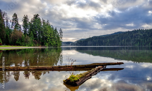 Sasamat Lake Park in winter in Port Moody City, trees on the island and conifers around the lake. Mountain range on the horizon, cloudy sky. Tree trunks in the water in the foreground