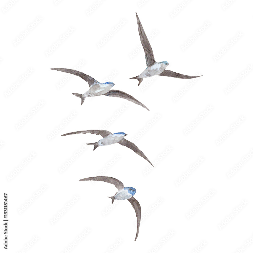 Obraz premium A flock of flying swallows in watercolor