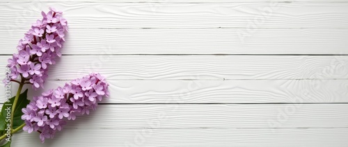 Purple lilac flowers with green leaves on white wooden background, left corner floral frame. Flat lay with copy space