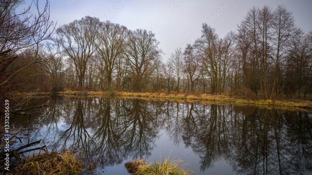 Obraz premium Spreewald