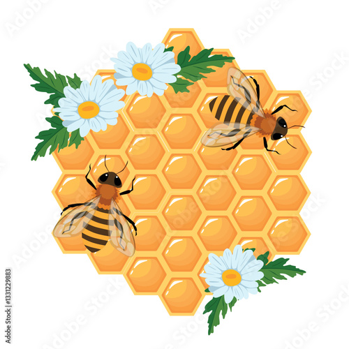 a honeycomb with field chamomile flowers and honey bees.Vector cartoon illustration
