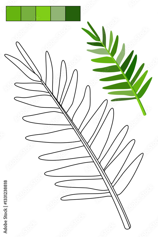 Fototapeta premium Coloring page whit tropical leaf for coloring book about exotic plants. Contour, colorful sample, color palette. For preschool and early elementary school children, to kid enjoy jungle vibes