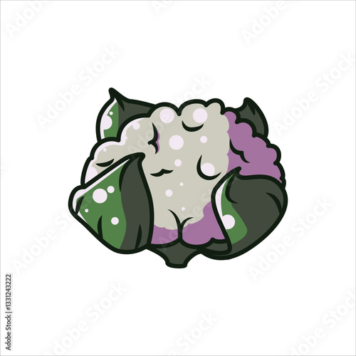 White Broccoli Editable Vector Illustration, high-quality vegetable Illustration