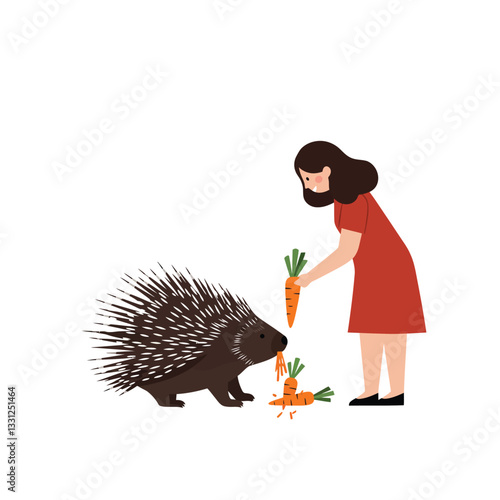 Porcupine receiving carrots from a friendly girl in minimal flat vector illustration
