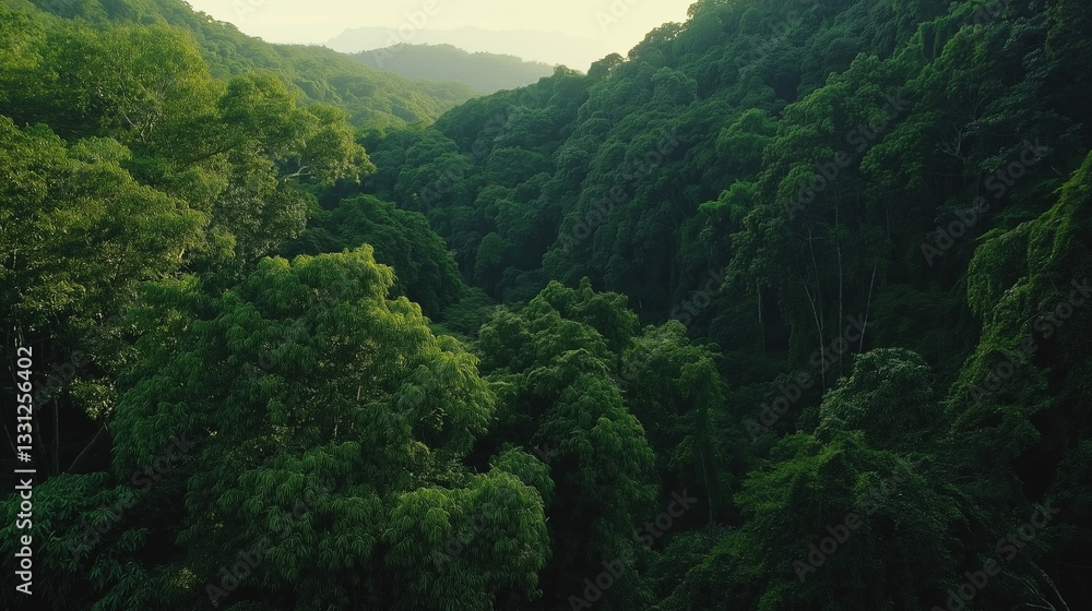 Fototapeta premium Lush green forest canopy with dense trees and mountains in the distance