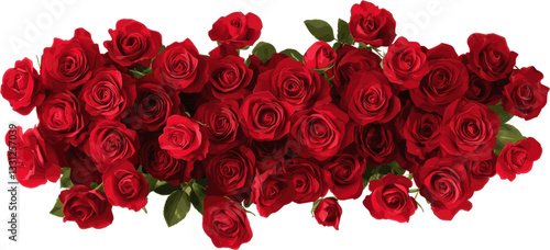 Bouquet of elongated roses isolated on white background with clipping path