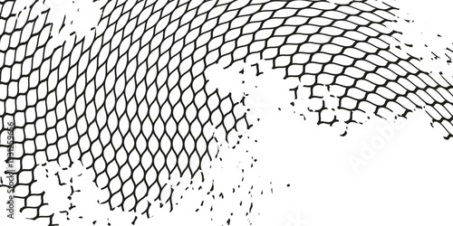 Black snake skin pattern isolated on white background eps 10