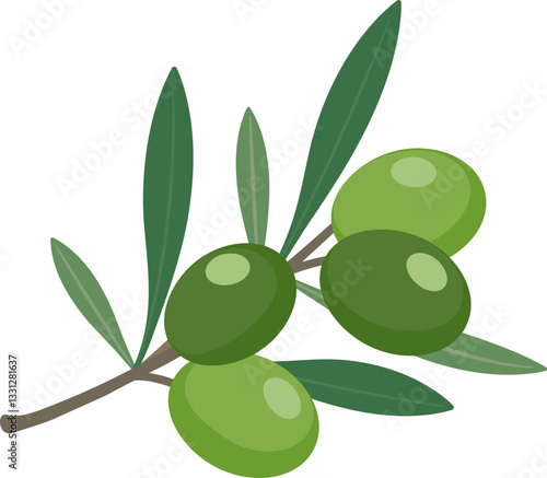 植物_木の実_オリーブ