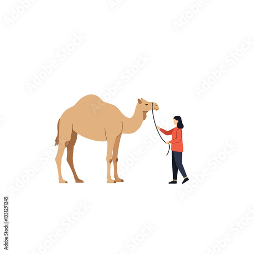 Camel and person interaction in flat design style vector illustration