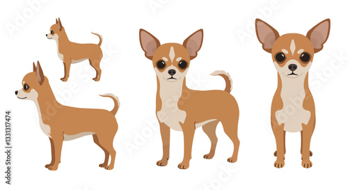 Chihuahua dog character in flat design style showcasing four unique poses vector illustration