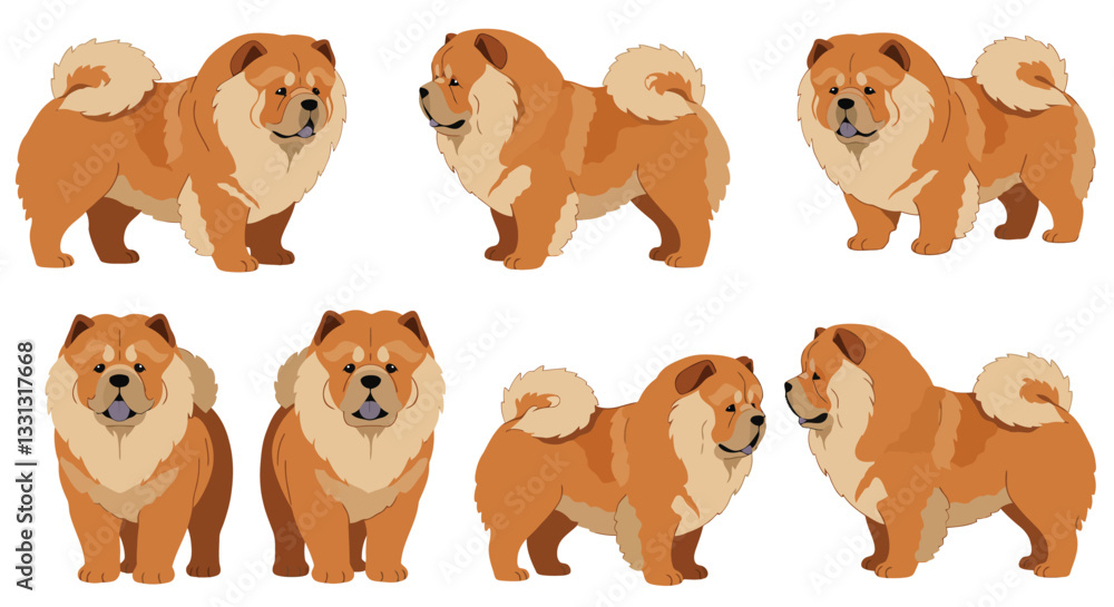 Fototapeta premium Detailed vector illustration showcasing different poses of a fluffy dog in flat design style vector art