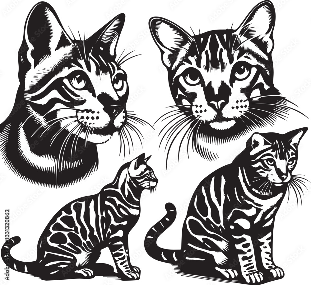 Obraz premium Bengal cat vector in black and white