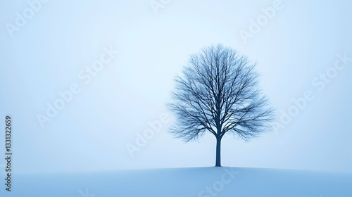 Solitary leafless tree in a misty, snowy field