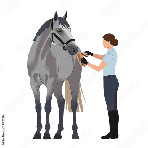 Horse grooming process illustrated in flat vector art style with detailed features