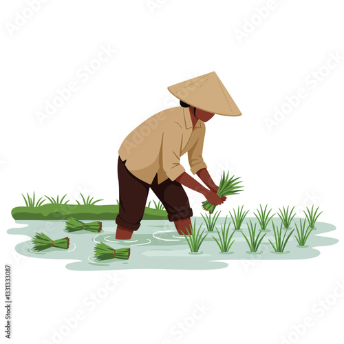 Farmer planting rice seedlings in water detailed vector illustration