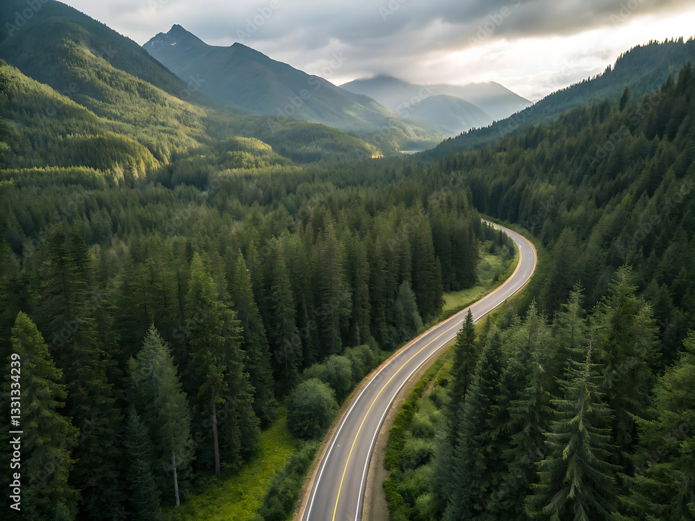Obraz premium Aerial View of Winding Mountain Road Through Dense Evergreen Forest