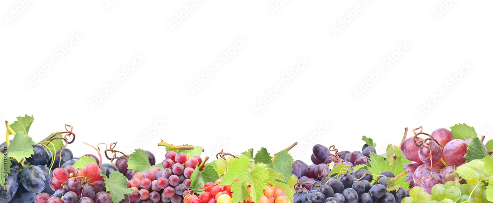 Grape fruit isolated