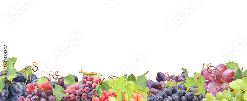 Grape fruit isolated