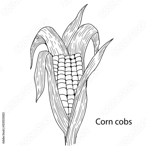 Black and white vector illustration of half an ear of corn on a white background. Handmade. Label concept on the topic corn, healthy food, cereals, bakery products