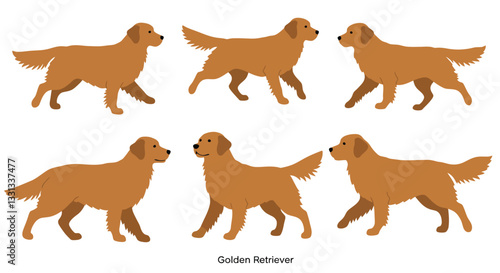 Golden Retriever dog movements in playful poses flat vector illustration