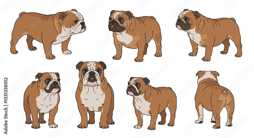 Fototapeta premium Bulldog character design in various poses showcasing flat vector art style and expressions in vector illustration