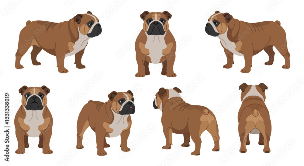 Fototapeta premium Bulldog character design in various poses featuring flat vector art style and detailed expressions vector illustration