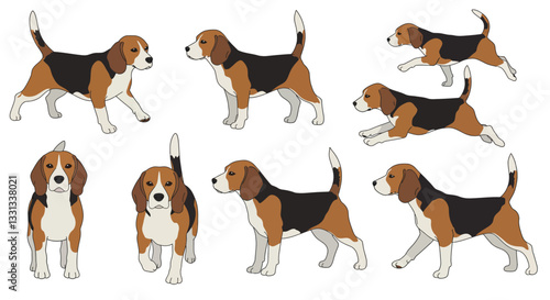 Detailed beagle dog poses in flat vector art style showcasing playful movements and expressions vector illustration