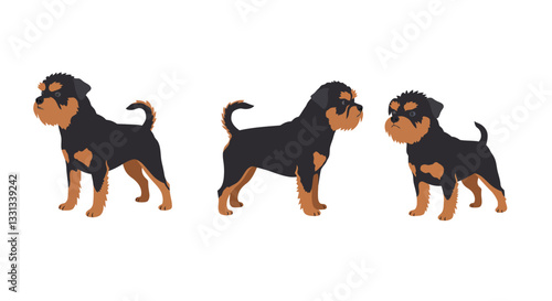 Cute dog character progression in flat vector art style with playful poses and expressions vector illustration