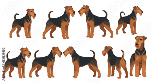 Airedale Terriers in Various Poses Detailed Vector Illustration
