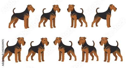 Airedale Terrier dog illustration in flat design style showcasing various poses vector art