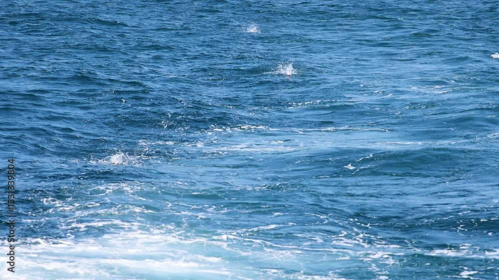 Ocean Waves in Motion Ocean Waves in Motion