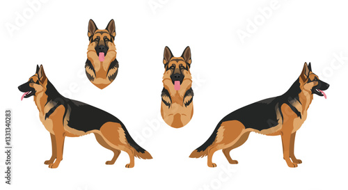 German Shepherd dog in various poses flat vector illustration