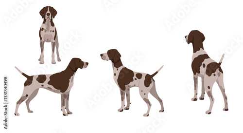 Four distinct poses of a dog in flat vector art style showcasing playful character and unique features vector illustration