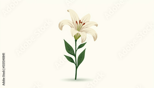Elegant white lily flower illustration on white background, floral beauty