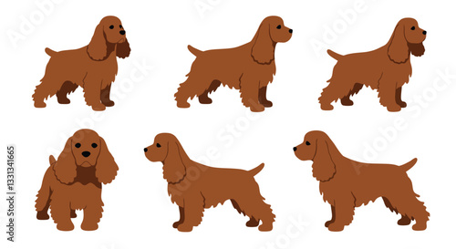 Brown dog character poses in flat style vector illustration showcasing playful expressions and movements