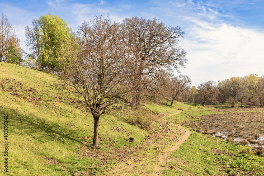 Rolling landscape with a winding dirt road by a wetland at springtime Rolling landscape with a winding dirt road by a wetland at springtime
