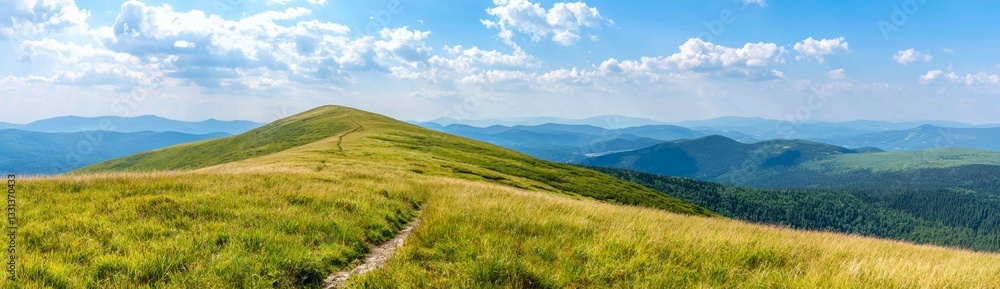 Fototapeta premium Beautiful, grassy hillside with a clear blue sky