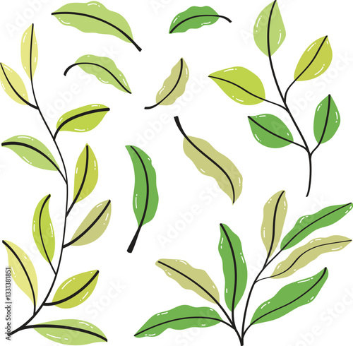 Leaf vector set collection