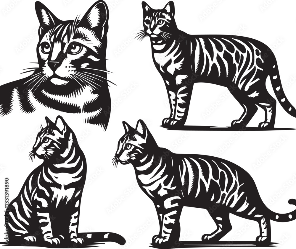 Fototapeta premium Bengal cat vector in black and white