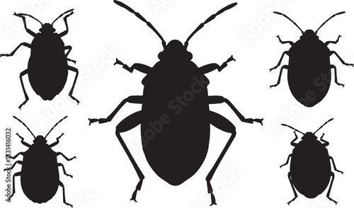 Boxelder Bug Silhouette
