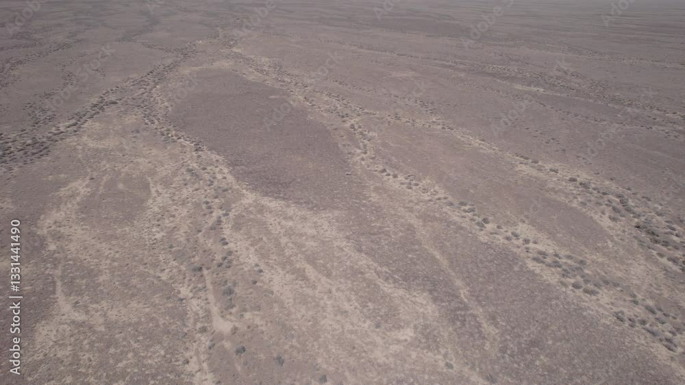 Two gazelles are running away from a drone across the steppe. Gazella subgutturosa overcomes obstacles in the form of bushes very quickly. Dust flies from under the hooves. Gazelles in the wild Two gazelles are running away from a drone across the steppe. Gazella subgutturosa overcomes obstacles in the form of bushes very quickly. Dust flies from under the hooves. Gazelles in the wild