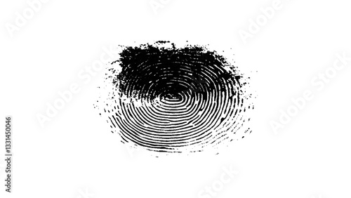 Vector black fingerprint isolated on transparent or white background, Fingerprint cut out on white background. Fingerprint, biometrics, identity, unique, pattern, lines, swirls, security, verification