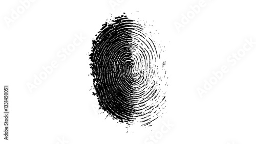 Vector black fingerprint isolated on transparent or white background, Fingerprint cut out on white background. Fingerprint, biometrics, identity, unique, pattern, lines, swirls, security, verification